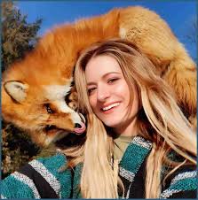 Save A Fox Charity Confirms Death of Finnegan the Fox — Beloved Rescue Animal Remembered